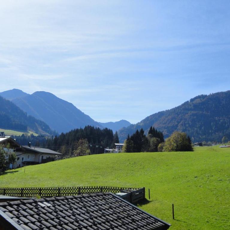 Haus Horngacher - Apartamento con vistas a las montañas - 11