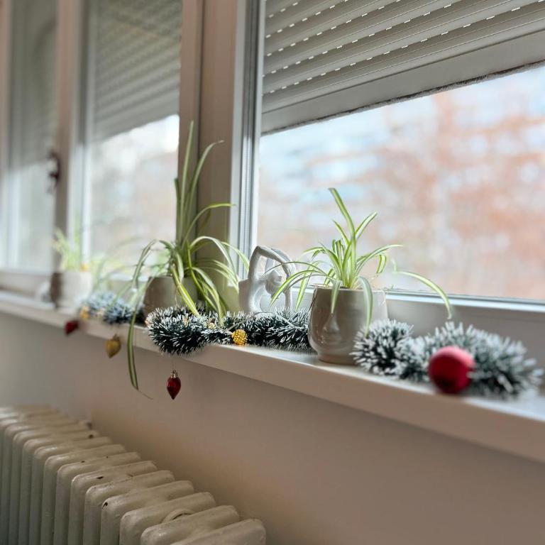 Surya - Apartman sa 1 Spavaćom Sobom - 44