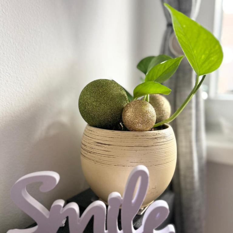 Surya - Apartman sa 1 Spavaćom Sobom - 45