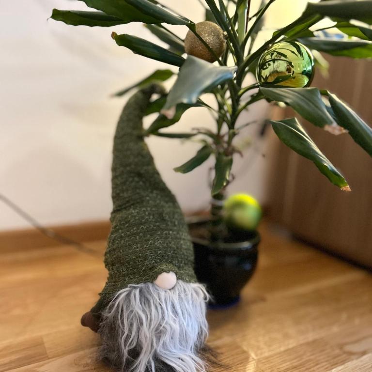 Surya - Apartman sa 1 Spavaćom Sobom - 46