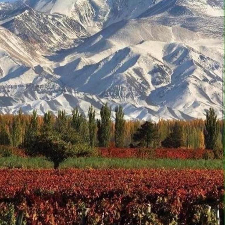 Aristides Suites 2 -Parking opcional siempre disponible - One-Bedroom Apartment - Non-Smoking - 22