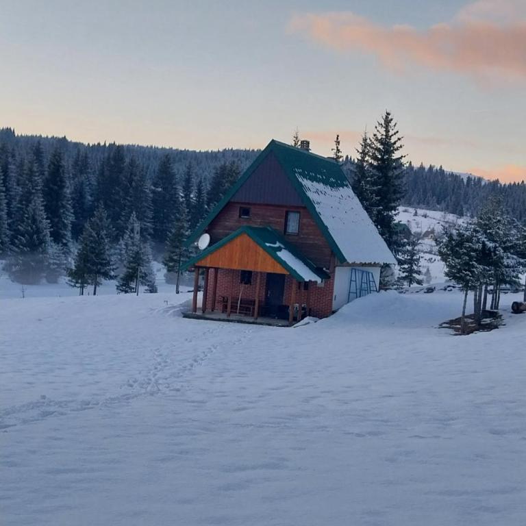 House in forest - Three-Bedroom House - 24