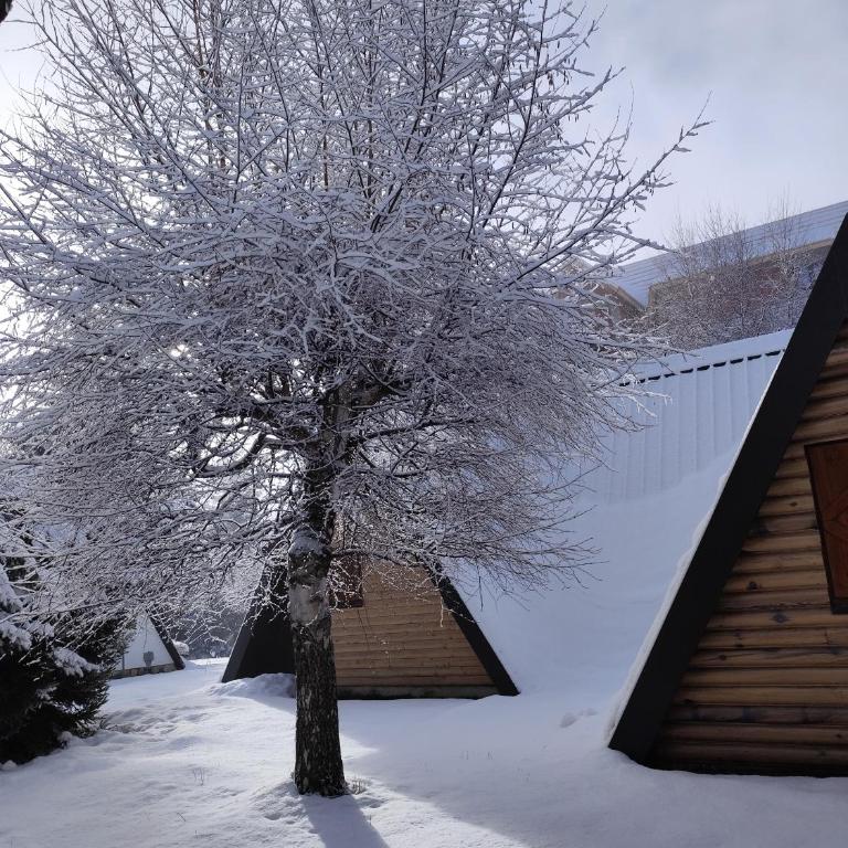 Kuća Drinčić - Two-Bedroom House - 45