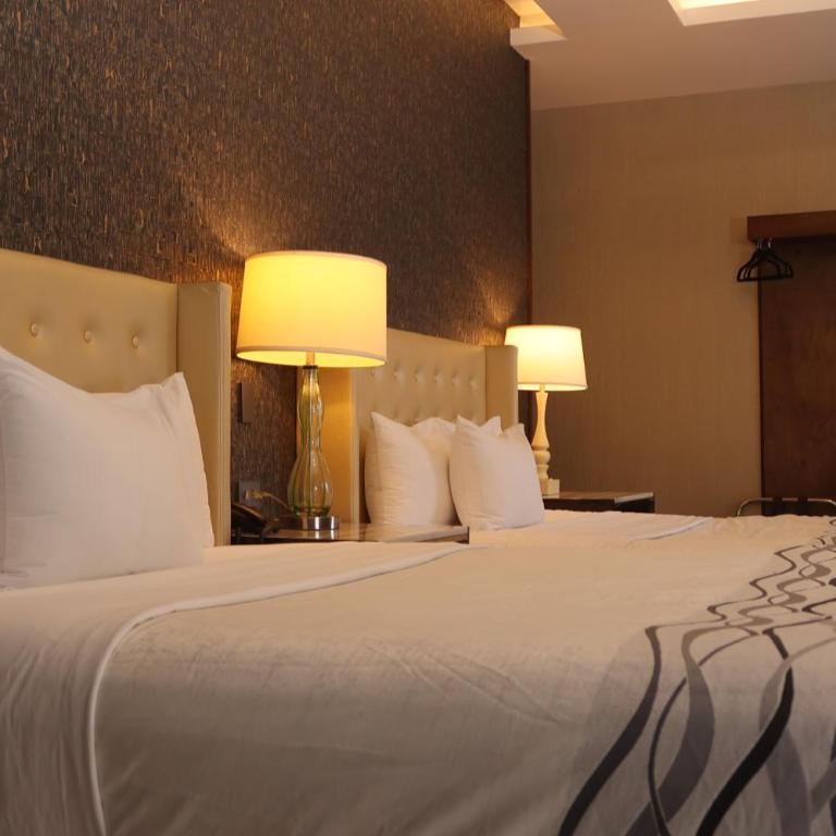 Hotel Wellintown - Deluxe Twin Room - 6