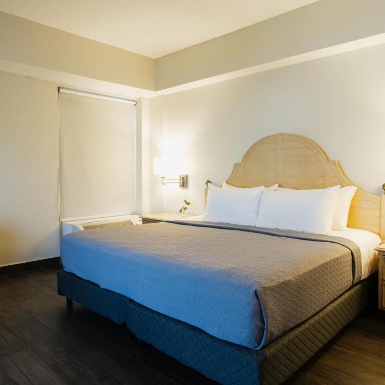 Hotel Parque Central - Habitación con cama extragrande. - 4