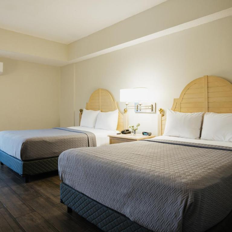 Hotel Parque Central - Habitación Doble - 2 camas dobles - 6