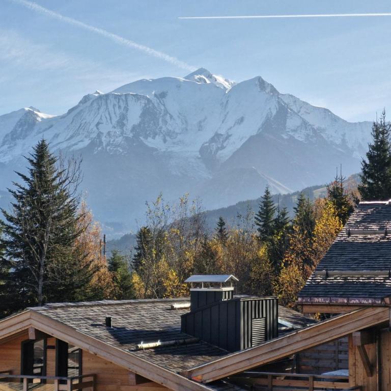 Alpage Mont Blanc - Appartement - 18