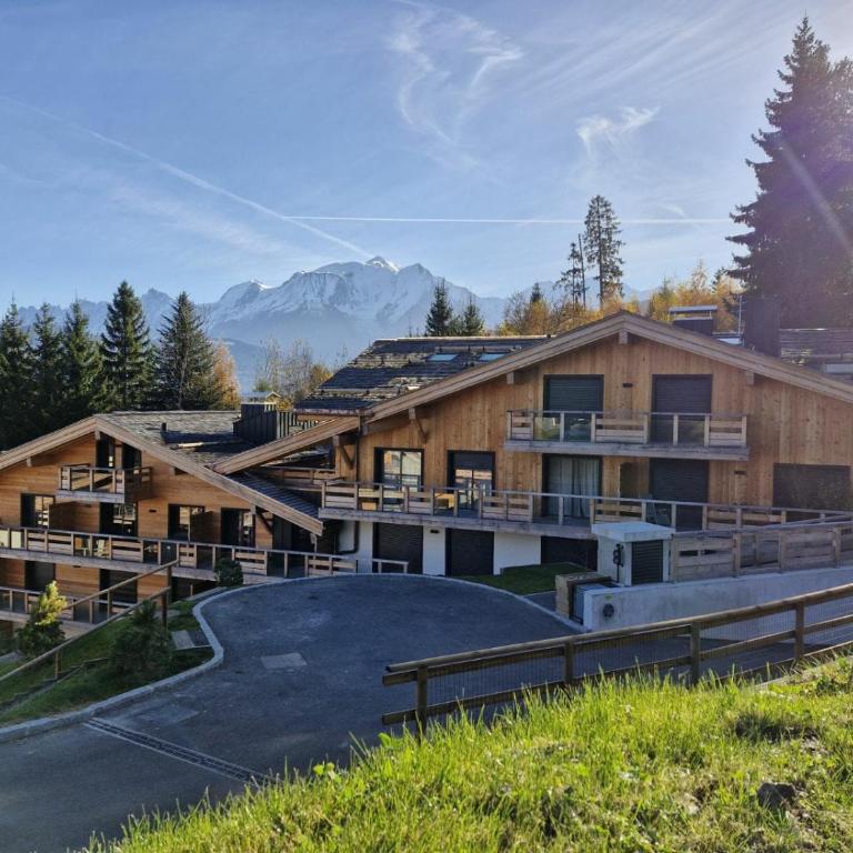 Alpage Mont Blanc - Appartement - 19