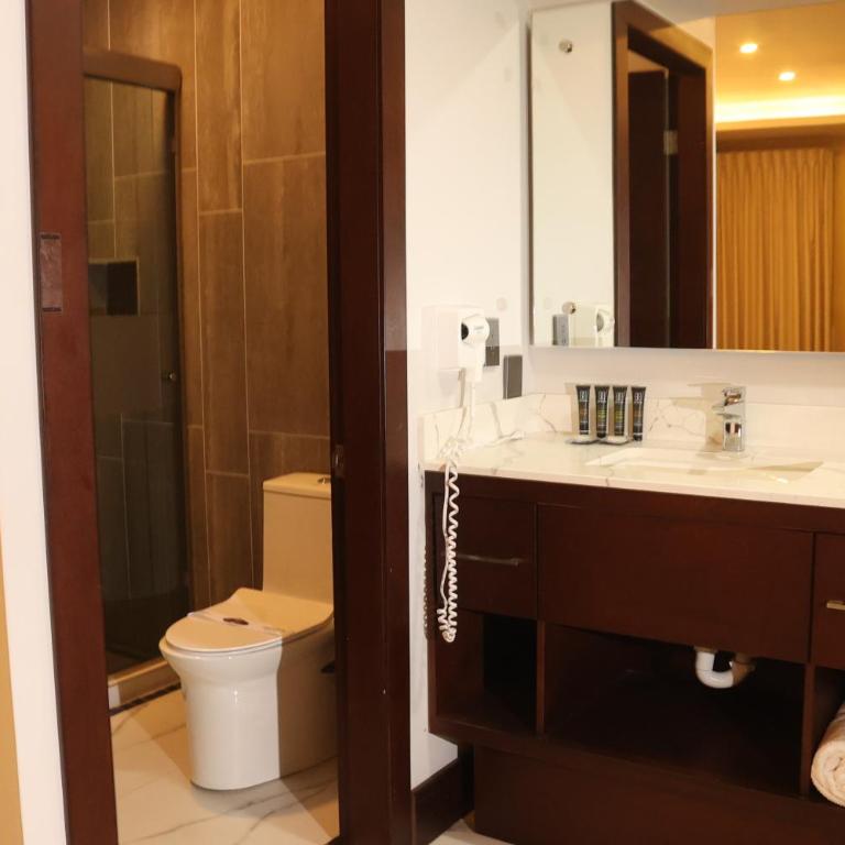 Hotel West Plaza - Habitación Deluxe - 9