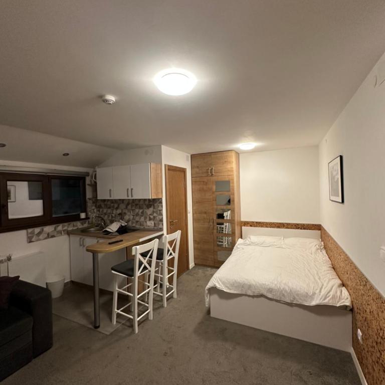 Apartments Konaci Kopaonik - Studio with Mountain View - 8