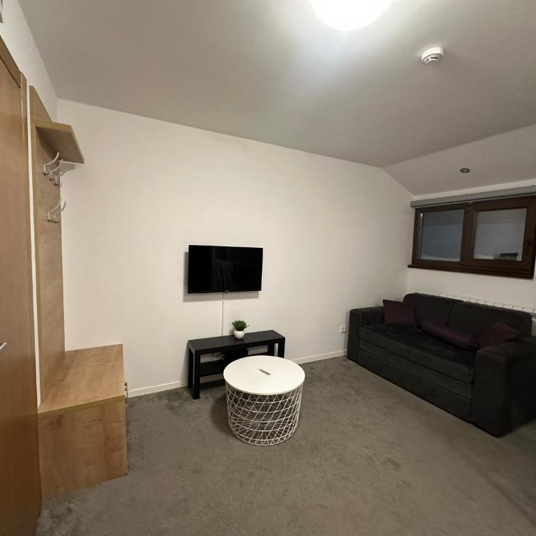 Apartments Konaci Kopaonik - Studio with Mountain View - 7