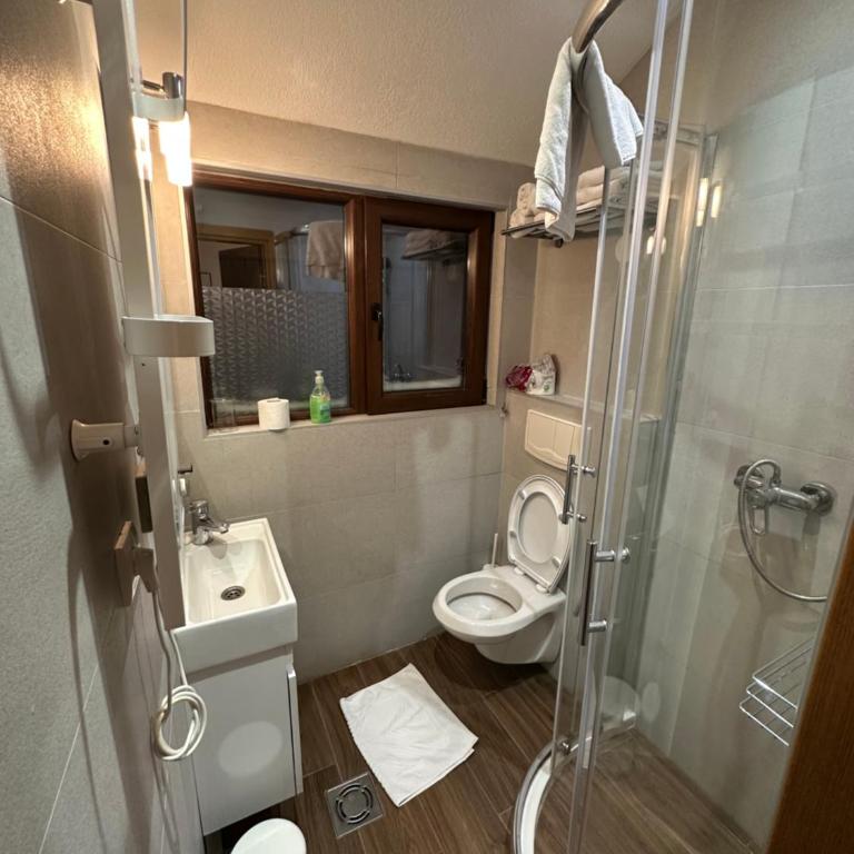 Apartments Konaci Kopaonik - Studio with Mountain View - 6