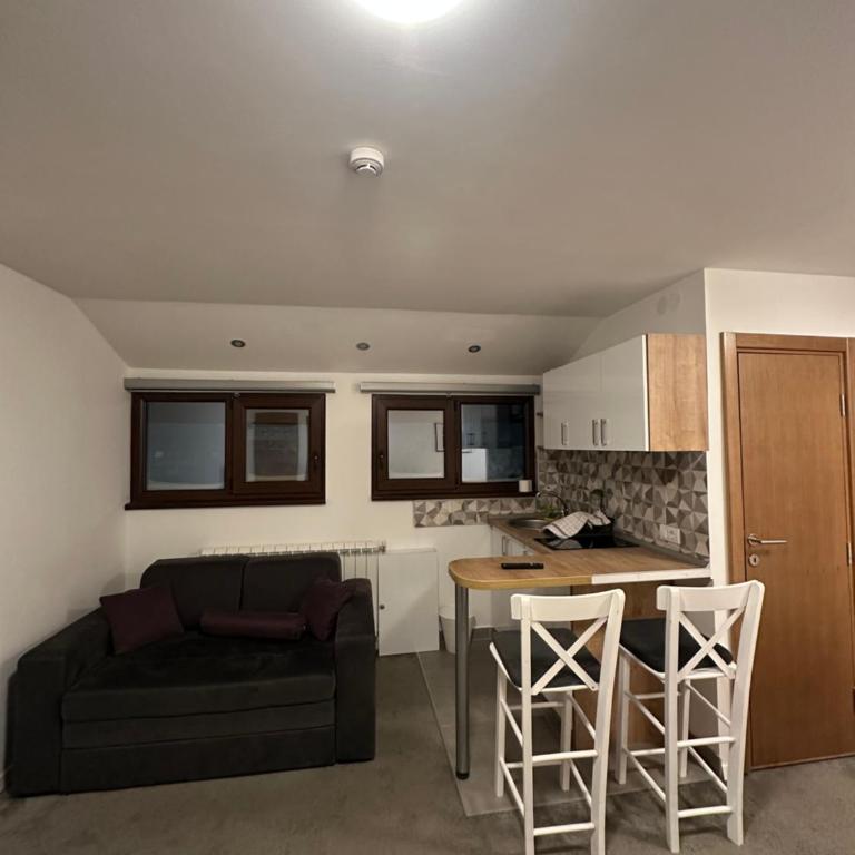 Apartments Konaci Kopaonik - Studio with Mountain View - 4