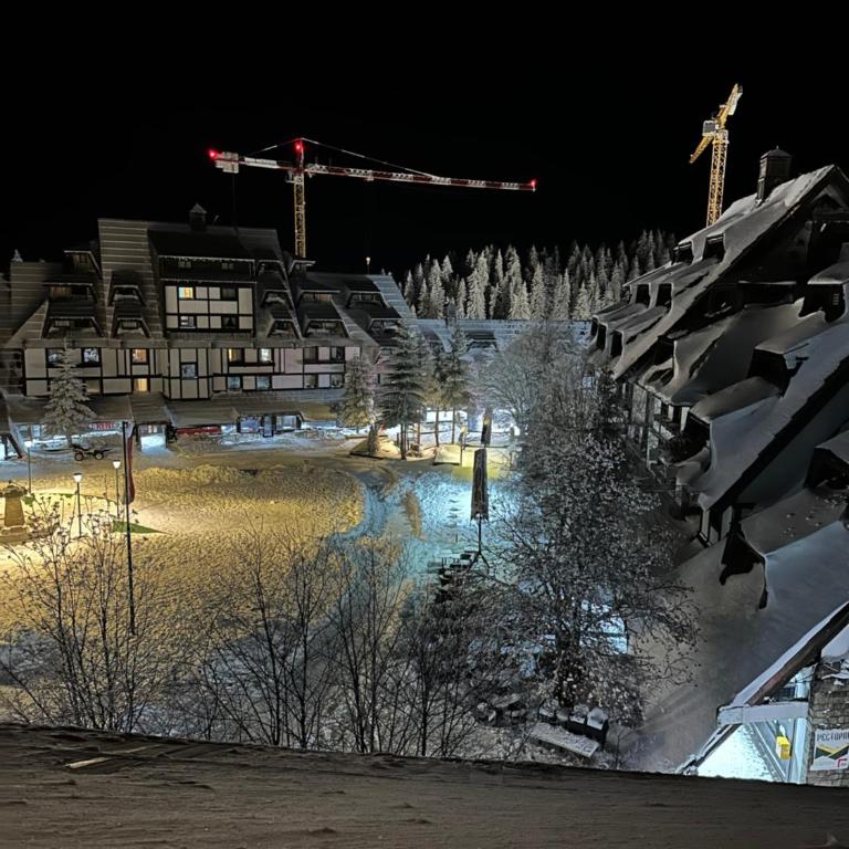 Apartments Konaci Kopaonik - Studio with Mountain View - 5