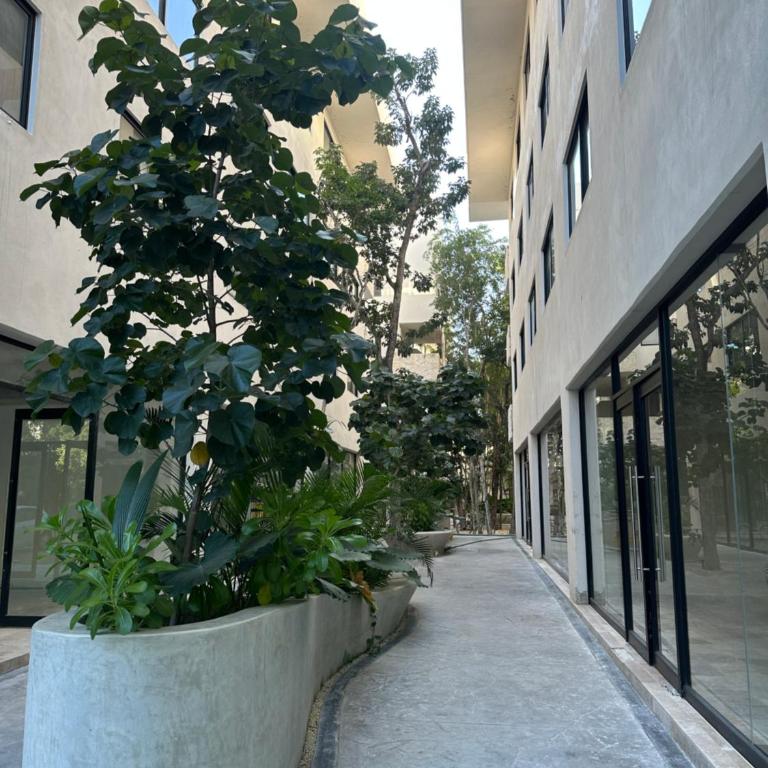 Green view - One-Bedroom Apartment - 6