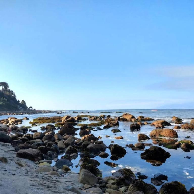 Cond Bahia Pelicano - Apartamento de 2 dormitorios - 5