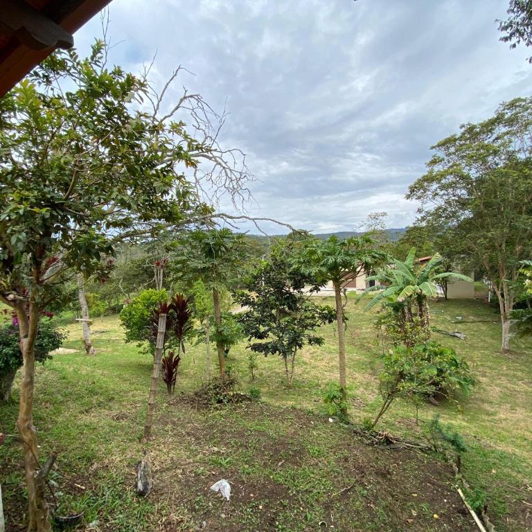 Mi Ranchito - Puente Nacional - Casa con 1 dormitorio - 4