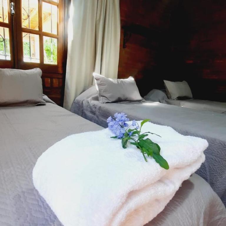 Casa en Rivadavia San Juan Argentina con Pileta - Casa de 3 dormitorios - 11
