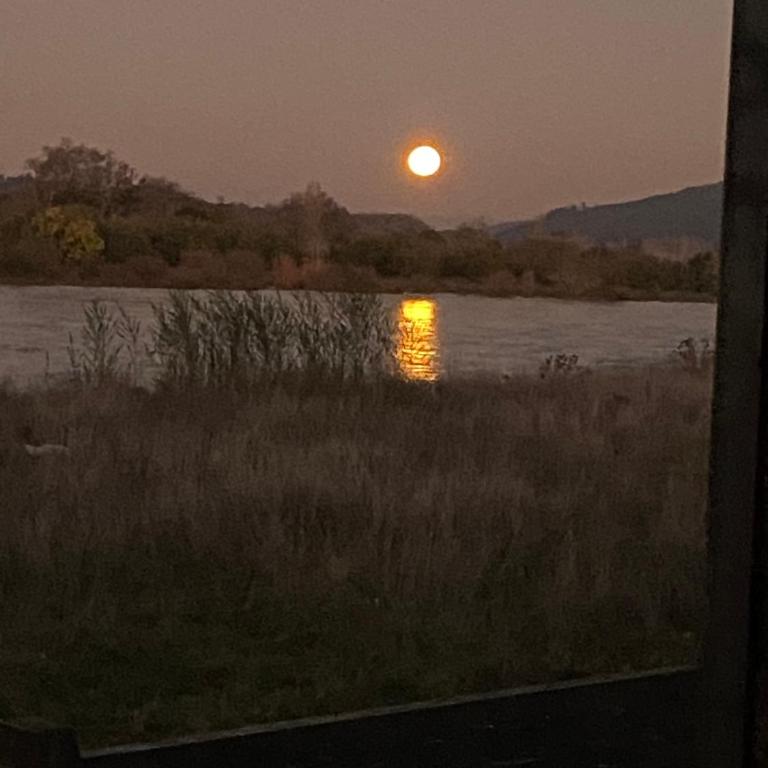 El Encanto de Antilhue - Suite con vistas al río - 35