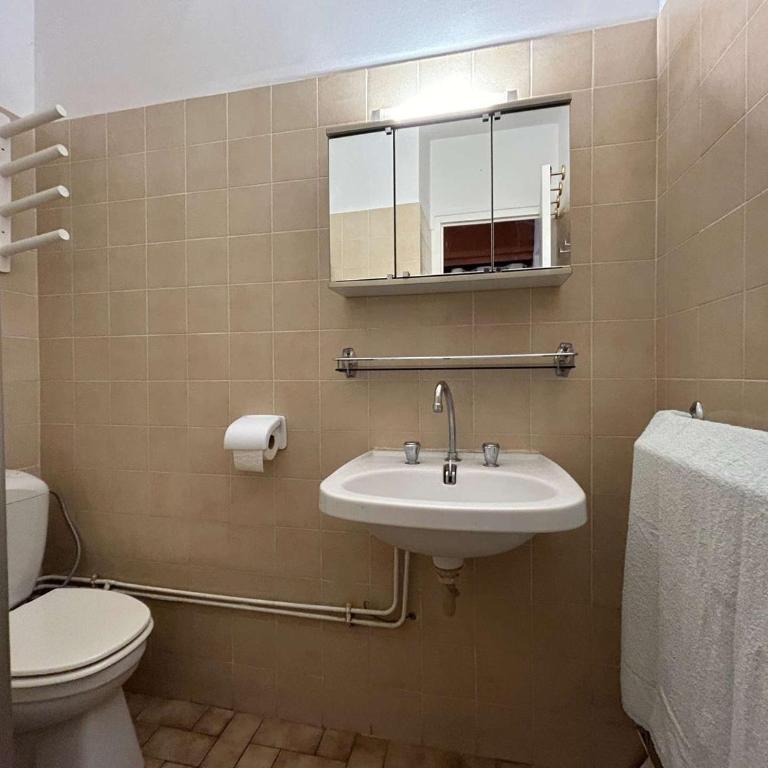Studio confort 4 pers. à 50m des pistes, Wifi, animaux admis - Appartement 1 Chambre - 5