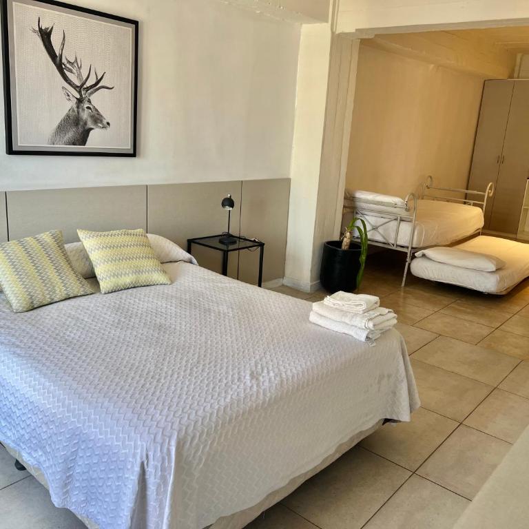 Oro Centro Suites - Apartamento Estudio con cama grande - 5
