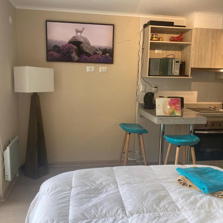 Departamento céntrico y moderno en Osorno - One-Bedroom Apartment - 4