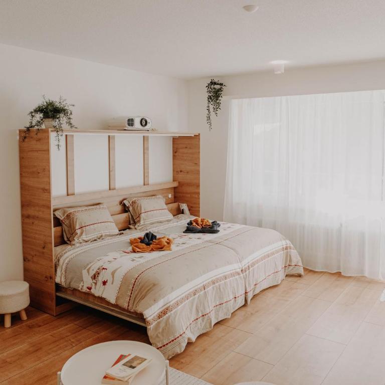 Superb Modern Studio Leukerbad - Appartamento con 1 Camera da Letto - 38