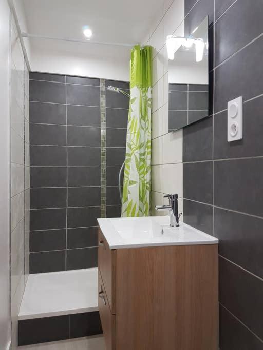COCON du centre ville avec PARKING et WIFI - Appartement 1 Chambre - 11