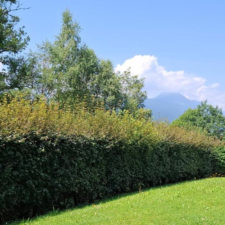 Ferienwohnungen Schloss Wasserleonburg - Apartment mit Terrasse - 10