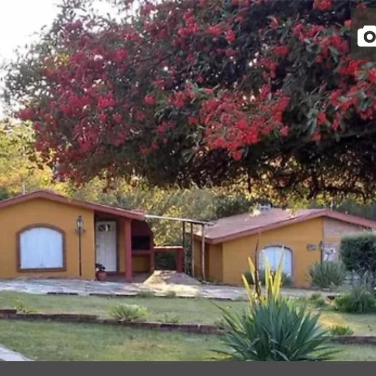 Cabañas Del Alto - Chalet de 1 dormitorio - 21