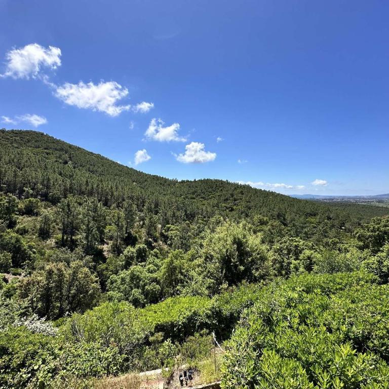 Villa Blanche pour 8 personnes avec piscine privée à La Londes-Les-Maures - Maison de Vacances 4 Chambres - 8