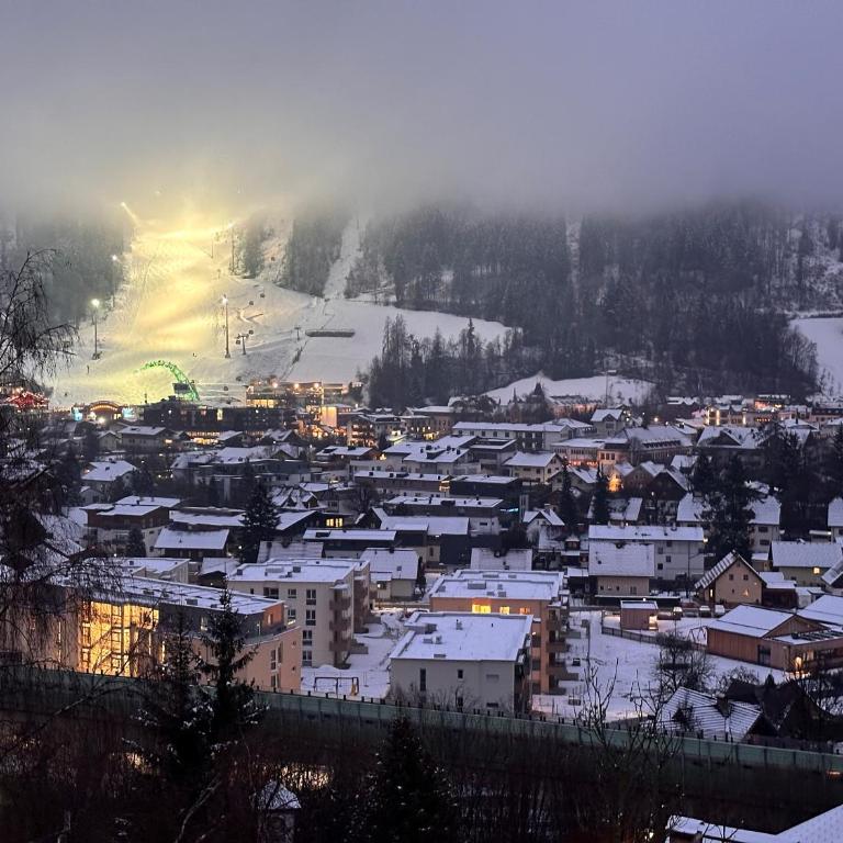 Alpenblick - klein, aber fein - Apartment mit 1 Schlafzimmer - 39