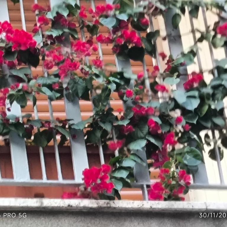 Antico Risveglio - Appartamento con 2 Camere da Letto - 14