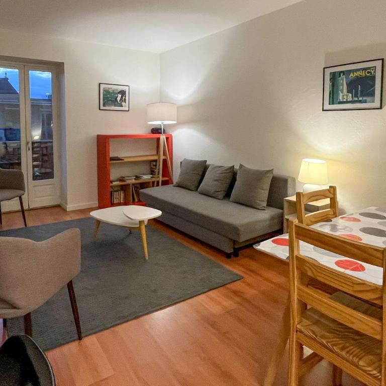 Appartement idéal en plein centre ville proche lac - Apartamento de 1 dormitorio - 3