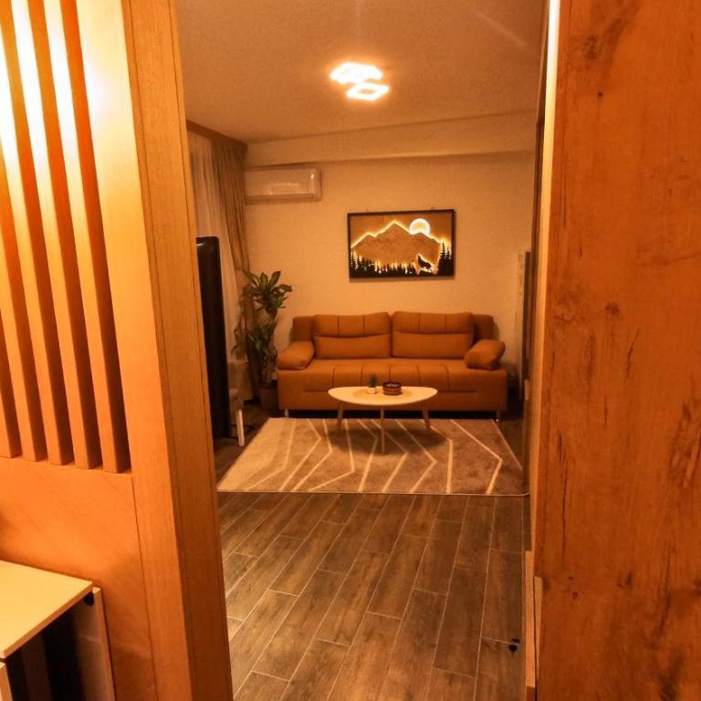 studio apartman Najdanović CENTAR - Deluxe Double Studio - 9