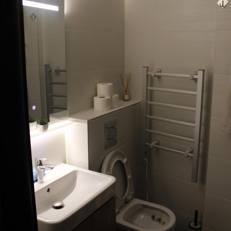 studio apartman Najdanović CENTAR - Deluxe Double Studio - 37