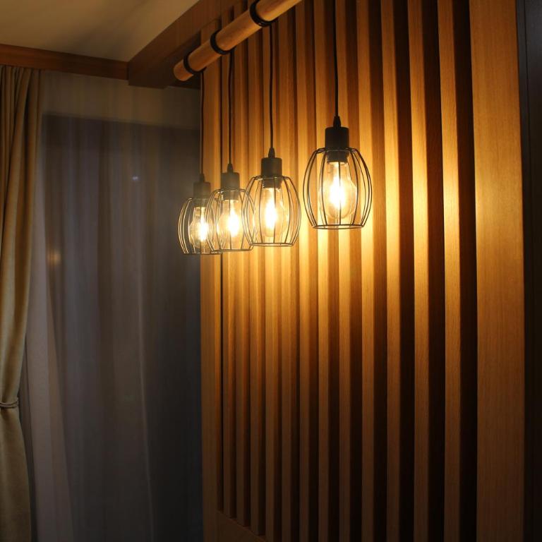 studio apartman Najdanović CENTAR - Deluxe Double Studio - 23