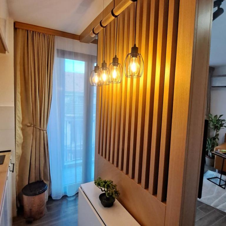studio apartman Najdanović CENTAR - Deluxe Double Studio - 24