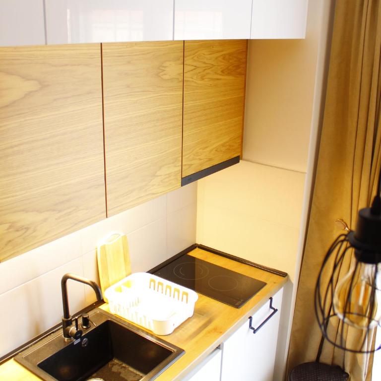studio apartman Najdanović CENTAR - Deluxe Double Studio - 30