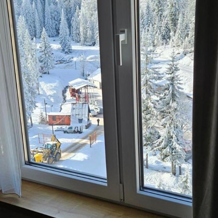 Jahorinska Vila - Srce Jahorine III - One-Bedroom Apartment - 4