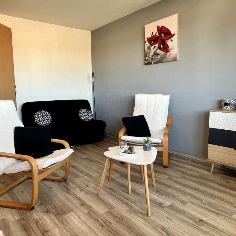 Appartement Studio 4 couchages ARGELES SUR MER AR850-118 - Apartment - 2