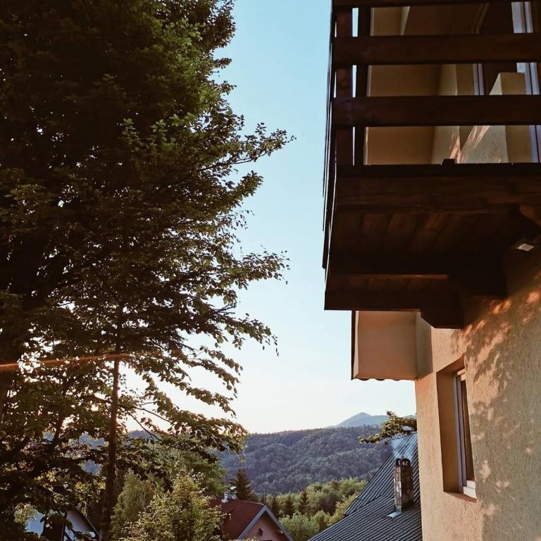 Casa Vidica - One-Bedroom House - 6