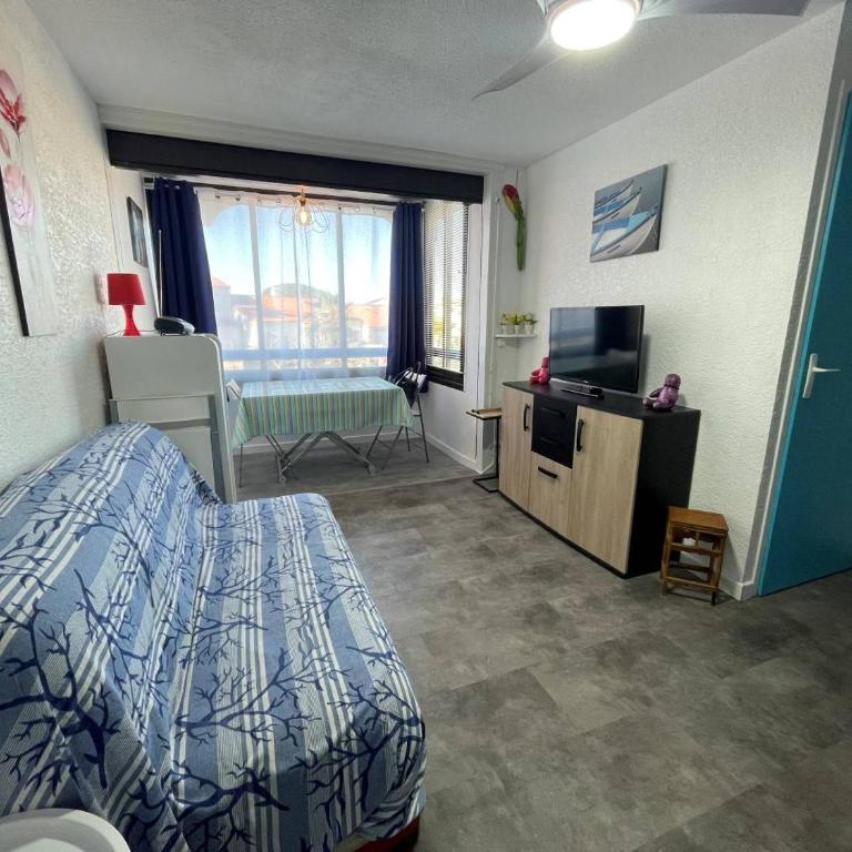 Appartement 2 pièces 2 couchages ST CYPRIEN PLAGE SC510-20D2 - Appartamento con 1 Camera da Letto - 1