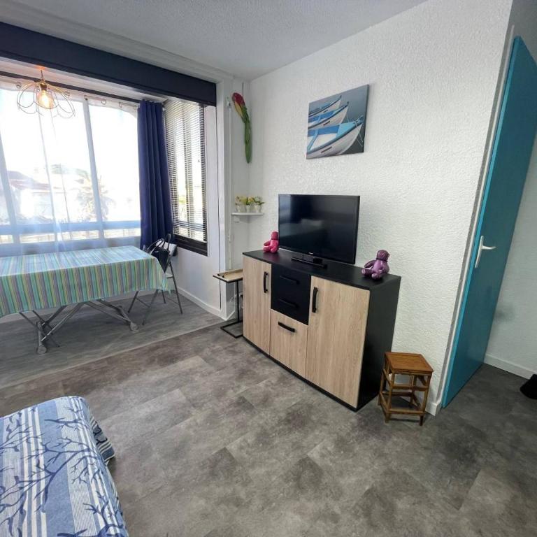 Appartement 2 pièces 2 couchages ST CYPRIEN PLAGE SC510-20D2 - Appartamento con 1 Camera da Letto - 2