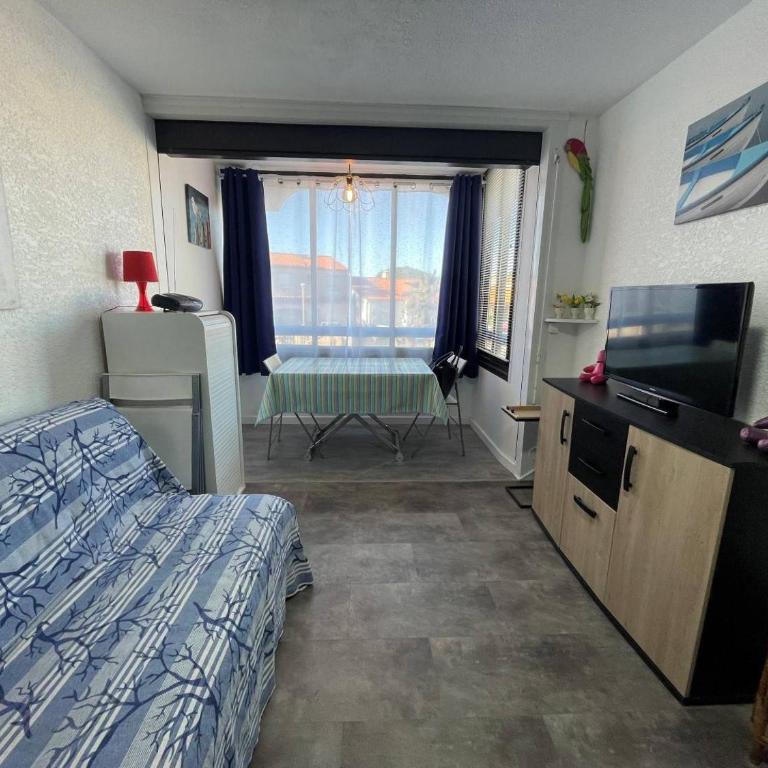 Appartement 2 pièces 2 couchages ST CYPRIEN PLAGE SC510-20D2 - Appartamento con 1 Camera da Letto - 3
