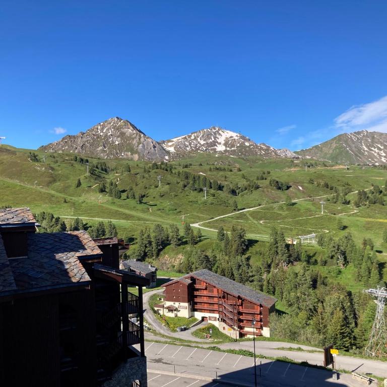 Appartement à Belle Plagne au pied des pistes - Appartamento con 1 Camera da Letto - 20