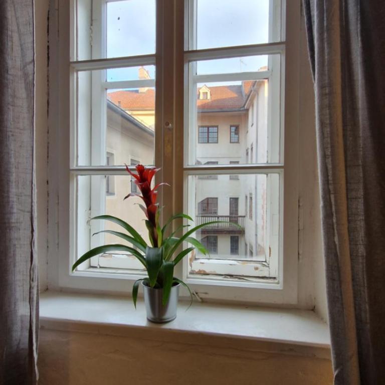Innsbruck Historical City Appartement Goldenes Dachl - Apartment mit 1 Schlafzimmer - 8