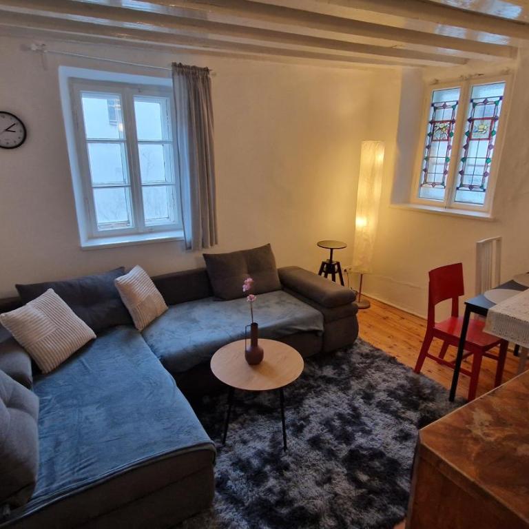 Innsbruck Historical City Appartement Goldenes Dachl - Apartment mit 1 Schlafzimmer - 11