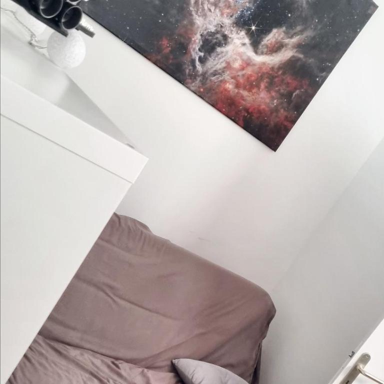 Spacieux T2 Bis Industriel Aérospatial - Appartement 1 Chambre - 8