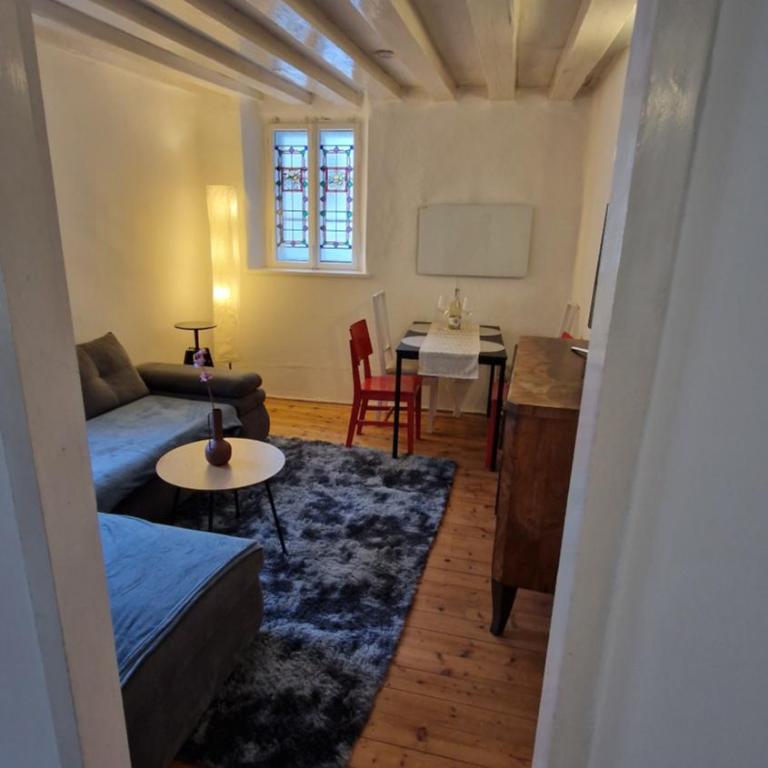 Innsbruck Historical City Appartement Goldenes Dachl - Apartment mit 1 Schlafzimmer - 12